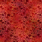 In The Beginning-I Dream of Color (Sold By 1/2 Meter)